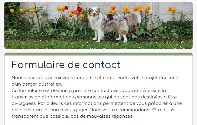 formulaire de contact pour réserver un chiot berger australien